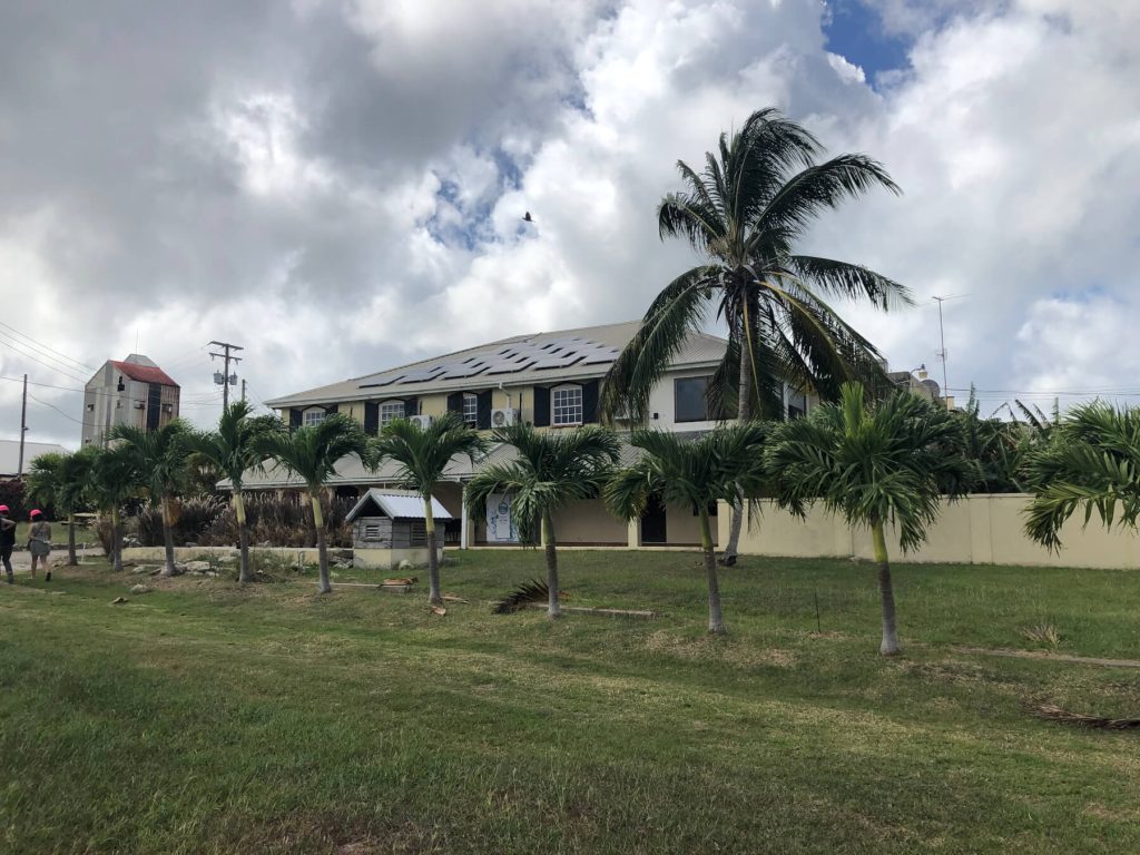 mount gay distillery with grass and a palm tree outside