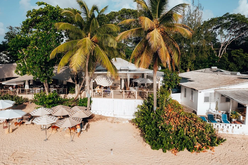 The Sea Shed from afar overlooking the beach with forestry surrounding it